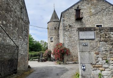 Randonnée Marche Ohey - tahier - Photo