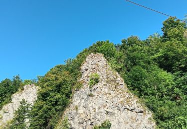 Trail Walking Comblain-au-Pont - pont sçay - comblain-au-pont / versant sud - retour versant nord - Photo
