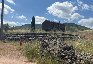 Trail sport Celles - Vailhés, Celles, Le Puech ,2024  - Photo