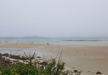 Excursión Senderismo Pleumeur-Bodou - L'île Grande Tregastel6 - Photo