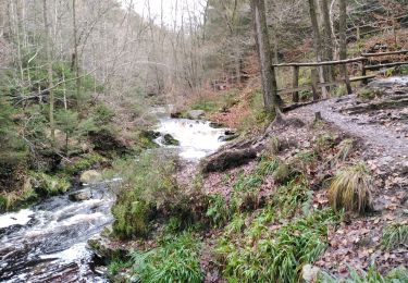Tour Wandern Jalhay - pont de belle heid la vallée de la hoegne - Photo