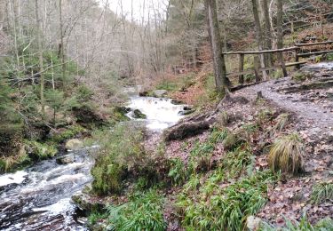 Randonnée Marche Jalhay - pont de belle heid la vallée de la hoegne - Photo