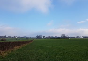 Tocht Stappen Voeren - Ulvend  - Photo