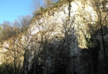 Trail On foot Rovolon - Sentiero dei Carabinieri - Photo