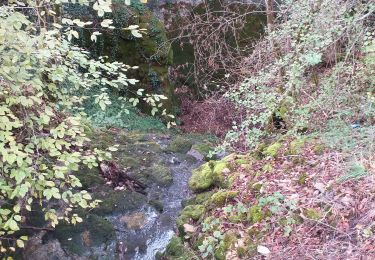 Tocht Stappen Montrond-le-Château - montrond le château  - Photo