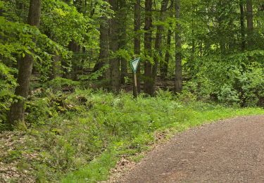 Excursión A pie Püttlingen - Haldenrundweg Südschleife - Photo