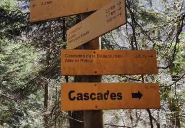 Trail Walking Le Vaudioux - cascade de Billaude - Photo