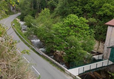 Trail Mountain bike Innimond - tentanet la graye - Photo