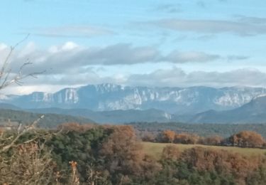 Tour Wandern Ourches - ourches - Photo