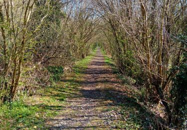Tocht Stappen Anthisnes - tavier reco 0425 - Photo