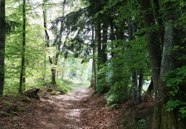 Randonnée Marche Theys - PETITE MARCHE AUTOUR DU COL DES AYES - Photo