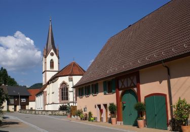 Percorso A piedi Sulz am Neckar - Glatttalweg - Photo