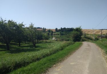 Tour Wandern Lévignac-de-Guyenne - A travers les champs et vergers au sud de Lévignac De Guyenne - Photo