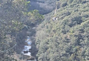 Tocht Stappen Lussan - de Prades au Concluses - Photo