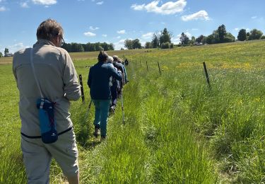 Tour Wandern Havelange - Jeneffe - Photo