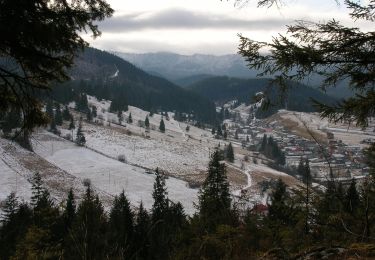 Tocht Te voet  - oraș Borsec - Pasul Chiozrez - Photo