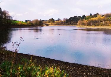 Tour Wandern Weismes - Du lac aux sources de Quarreux  - Photo