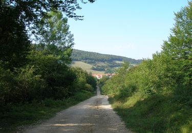 Randonnée A pied Erro - Berraguko Bidea - Photo