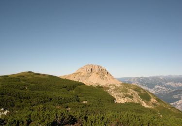 Tocht Te voet Cimone - Sentiero alpinistico del Coraza - Photo