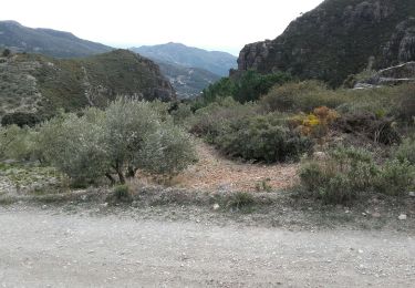 Trail Walking Lentegí - Lentegi 2019 - Photo