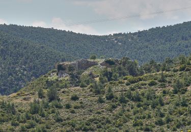 Tour Zu Fuß Δημοτική Ενότητα Φυλής - Φυλή - Σπήλαιο Πανός - Αμυγδαλέζα - Photo