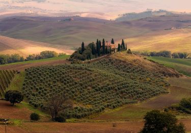 Randonnée A pied Pienza - Pienza - Photo