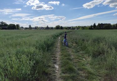 Trail Mountain bike Auvers-Saint-Georges - Auvers saint Georges - Photo