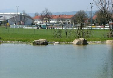 Percorso A piedi Durach - Durach: Schreierwald-Runde - Photo