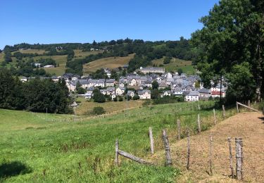 Tocht Stappen Montgreleix - Mongreleix Egliseneuve d’Entraigues - Photo