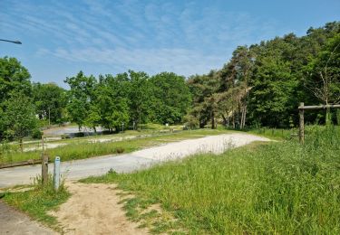 Trail Walking La Ferté-Alais - La Ferté Alais - Photo