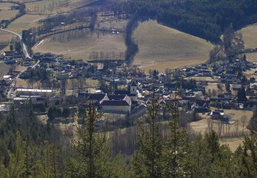 Tocht Te voet Feistritz am Wechsel - Wanderweg Hasleiten - Photo