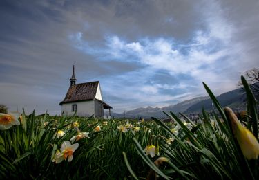 Randonnée A pied Neckertal - Ziegelhütte-Ebersol - Photo