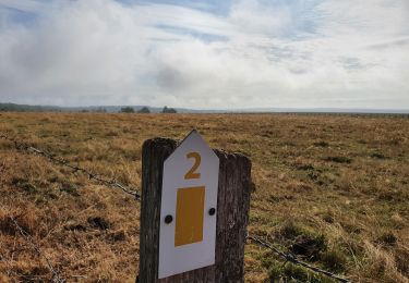 Trail On foot Daverdisse - SityTrail - HF 2 - Sclassin - Photo
