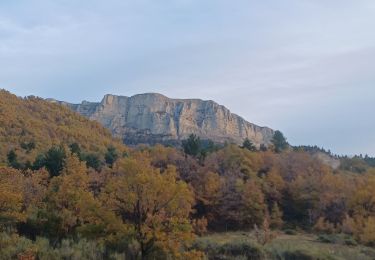 Percorso Marcia Hautes-Duyes - AURIBEAU,  Champ de Barras . col d Ainac o l s - Photo