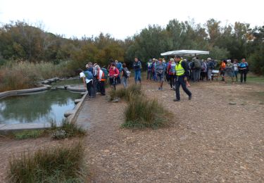 Excursión Senderismo La Palme - La Palme - Photo