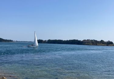 Tocht Stappen Arzon - Boucle port navalo - Photo