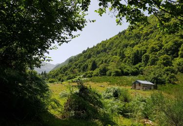 Trail Walking Savignac-les-Ormeaux - cabanes du Najar - Photo