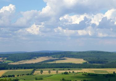 Excursión A pie Bovenden - Rundwanderweg der Besinnung (UNO-Menschenrechtspfad) - Photo