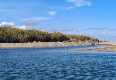 Tour Wandern Argelès-sur-Mer - Boucle du Mas Larrieu - Photo