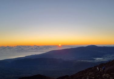 Trail Walking Salazie - Jour 7 Piton des neiges - Photo