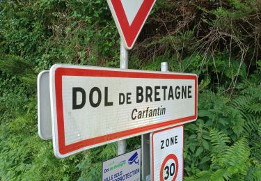 Tour Geocaching Dol-de-Bretagne - DOL DE BRETAGNE  - Photo