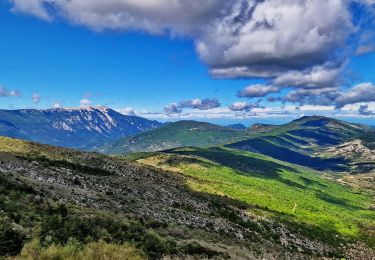 Tocht Stappen Mévouillon - Montagne du Buc via Le Col Meivouillon - Photo