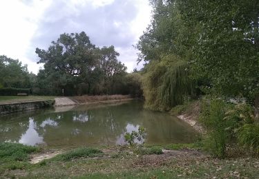 Tour Wandern Benet - Les Nattes - Photo