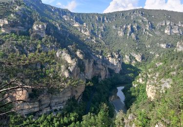 Tour Wandern Gorges du Tarn Causses - de St Enimie aux Vignes - Photo