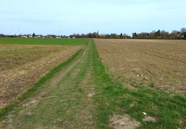 Tocht Te voet  - Rundweg A3 - Photo