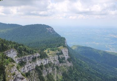 Trail Walking Autrans-Méaudre en Vercors - sure and co - Photo