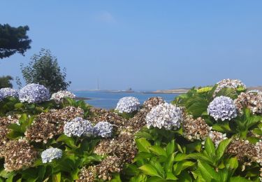 Tocht Stappen Plouguerneau - saint michel - Photo