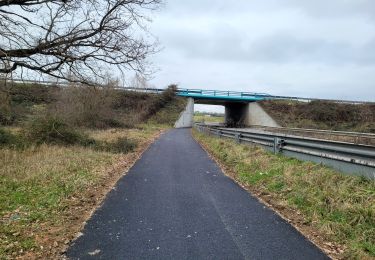 Randonnée Vélo Montluçon - Place piquand centre aqualudique - Photo