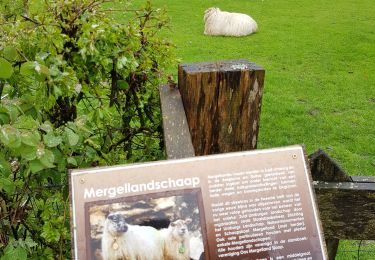 Tocht Stappen Gulpen-Wittem - Slenaken - Mechelen - Photo