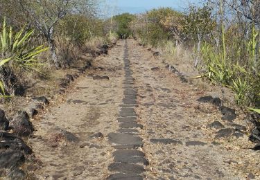 Tocht Stappen La Possession - chemin des anglais  - Photo